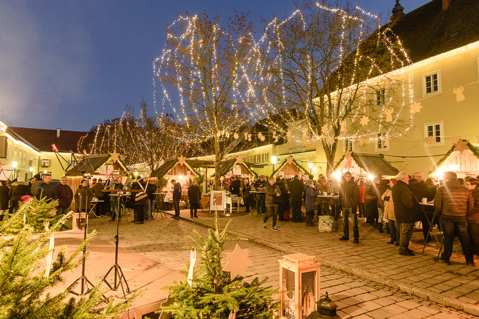 Weihnachtsmarkthütten und Besucherinnen, davor zwei Bäume mit Lichterkitten in abendlicher Stimmung