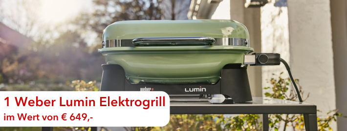 Weber Lumin Elektrogrill