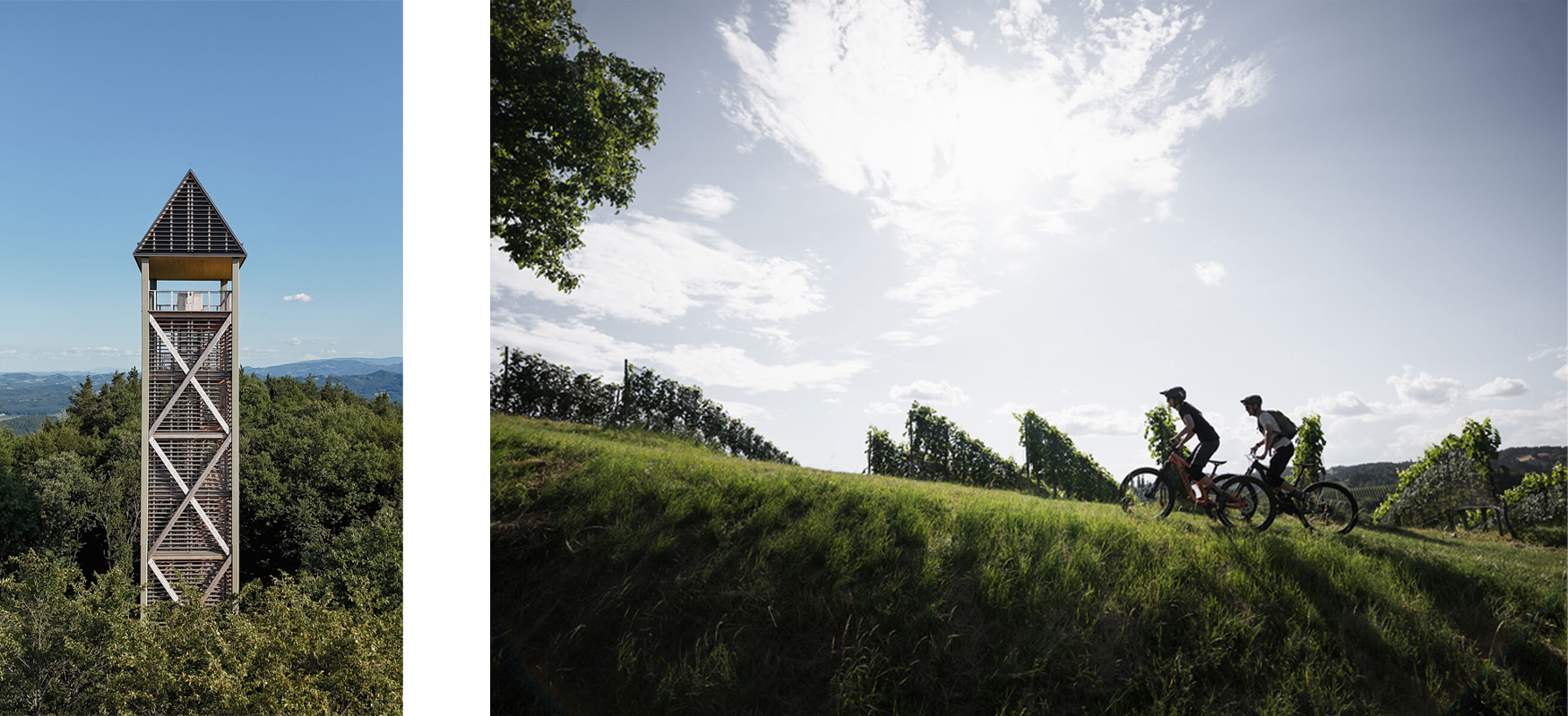 Blickwechsel-Tour Südsteiermark