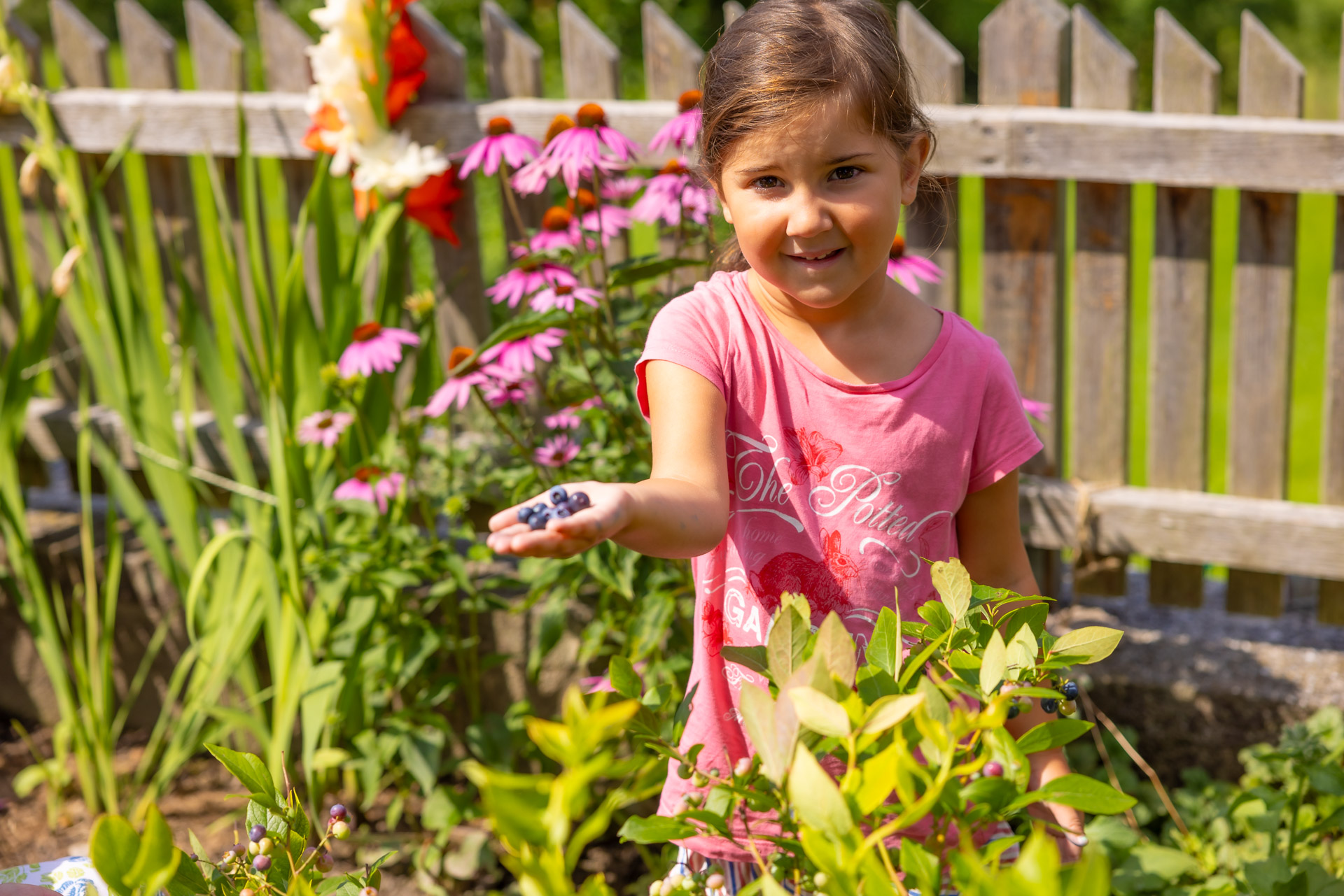 Mädchen im Garten mit frischen Heidelbeeren in der Hand