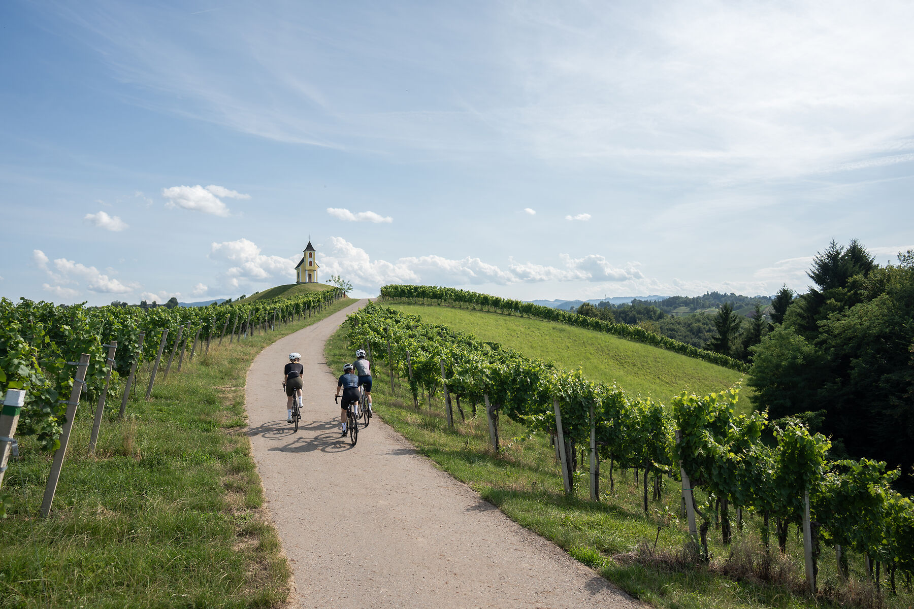 Radsport in der Südsteiermark