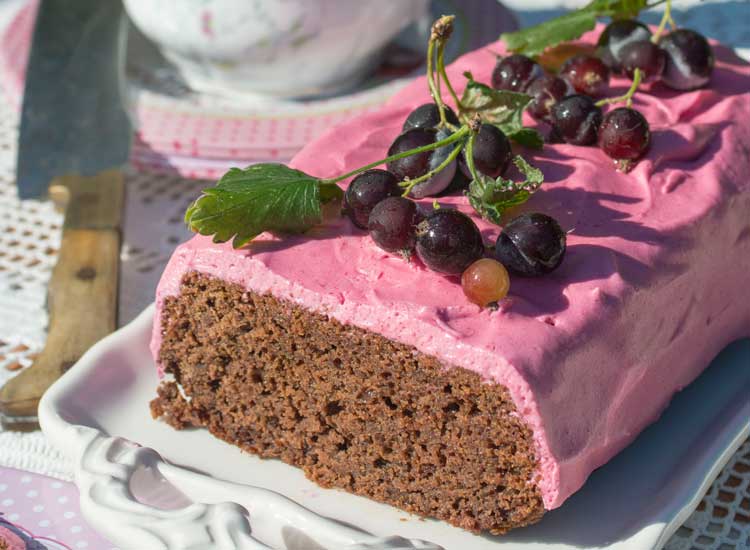 KS_Schokokuchen-Jostabeeren-nah.jpg