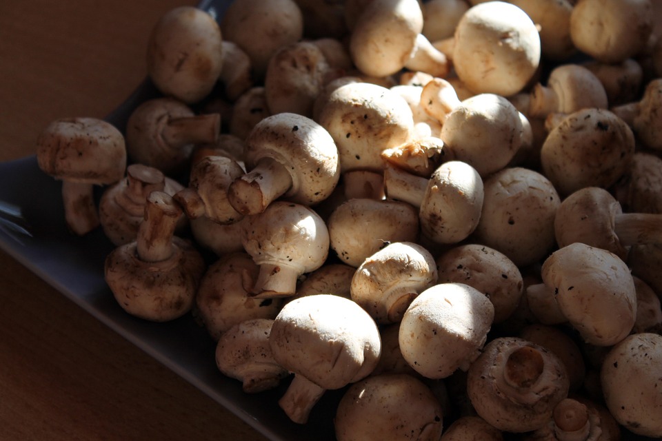 mushrooms-265545_960_720.jpg