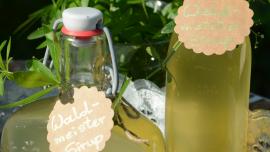 Was wächst denn da? Waldmeister