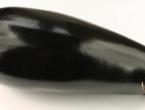 Aubergine