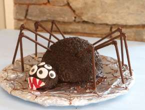Spinnen Kuchen 