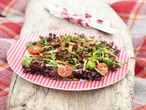 In Balsamico-Essig marinierte Eierschwammerln auf Blattsalat
