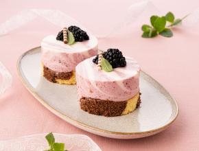 Sauerrahm-Brombeer-Schnitte