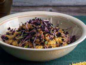 Hirsotto mit Champignons und Sprossen