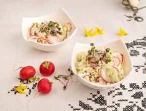 Radieschen-Käsesalat
