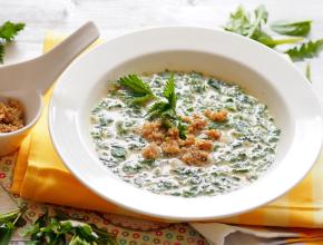 Wildkräutersuppe mit Erdmandelhäubchen