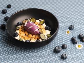 Blueberry-Cheesecake-Eis