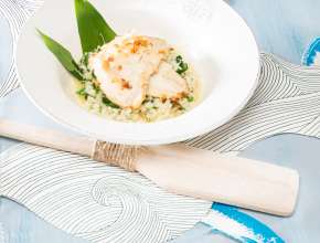 Gebratener Barramundi auf Spinat-Risotto