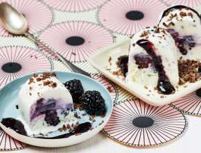 Frozen Yogurt mit Brombeeren