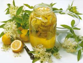 Hollersirup / Holundersirup