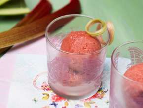 Rhabarber-Sorbet mit Schilcher