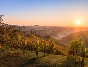 Südsteiermark: Echt. Erlebt. Erzählt.