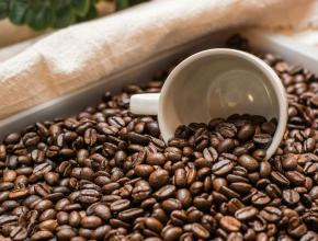 Kaffeetasse in Schüssel mit Kaffeebohnen
