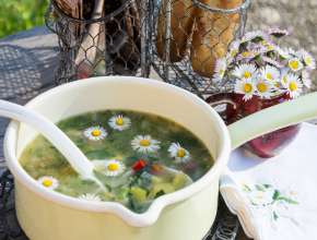 Frühlingskräutersuppe mit Gänseblümchen