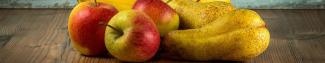 Apfel & Birne Rezepte