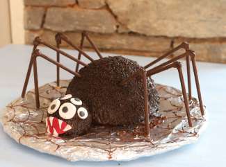 Spinnen Kuchen