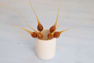 Foto: Reinhold Zötsch