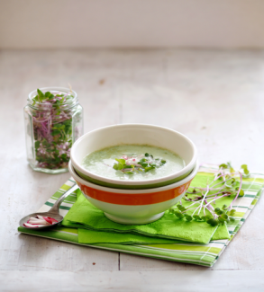 Kohlrabicremesuppe mit Rettich-Keimpflanzen