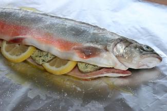 Fisch aus der Asche 