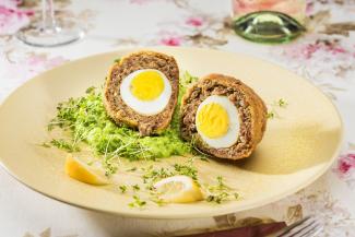 Ei im Nest