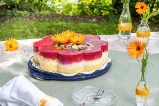 Biskuittorte mit Himbeerspiegel