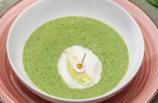 Frühlingssuppe mit Spinat und Brunnenkresse