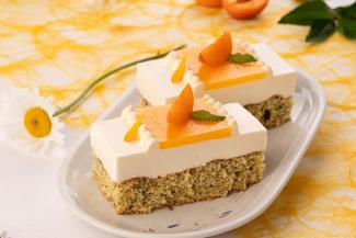 Kürbiskern-Skyr-Schnitte mit Marillenspiegel