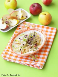 Apfelsalat mit Sprossen