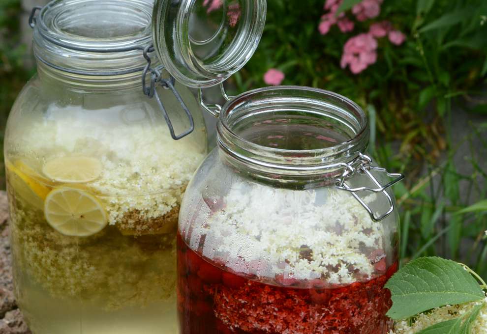 Holunder-Himbeer-Sirup und Holunder-Limetten-Sirup