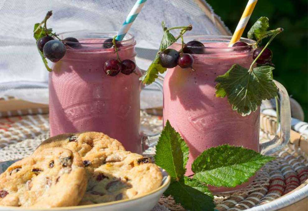 Jostabeeren-Wassermelonenshake mit Karamell-Keksen