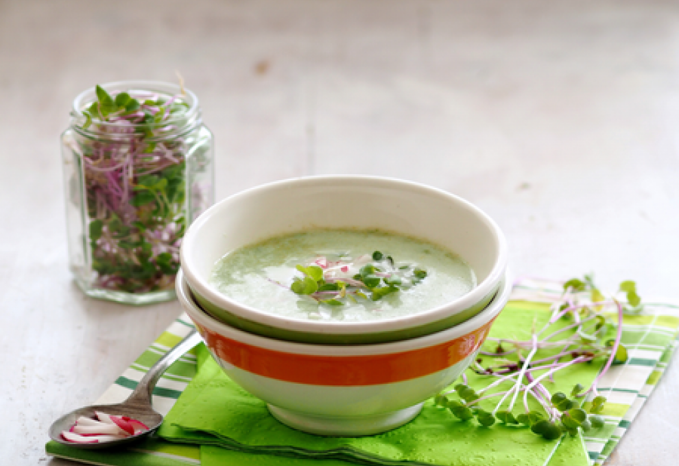 Kohlrabicremesuppe mit Rettich-Keimpflanzen