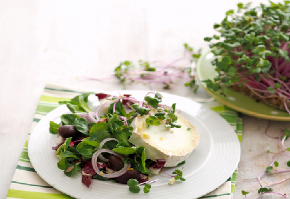 Vogerlsalat mit gratiniertem Ziegenkäse