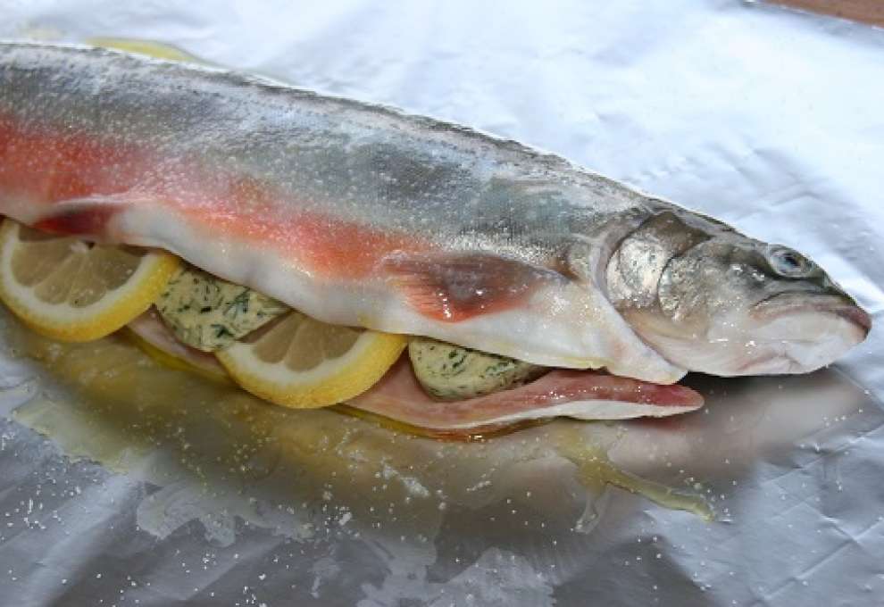 Fisch aus der Asche 