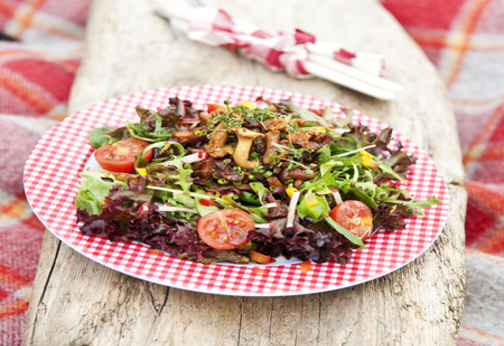 In Balsamico-Essig marinierte Eierschwammerln auf Blattsalat