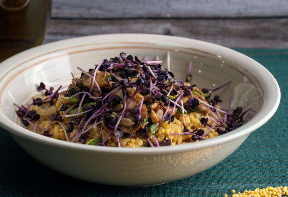 Hirsotto mit Champignons und Sprossen