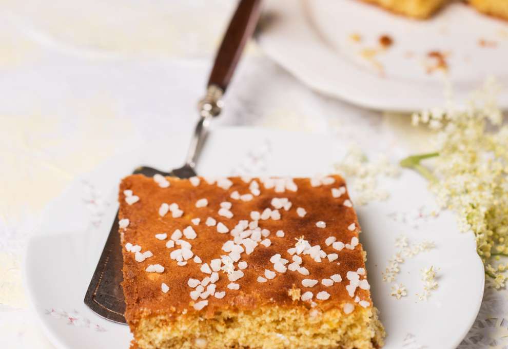 Hollerblüten-Kuchen » herzhafte Gerichte &amp; Speisen