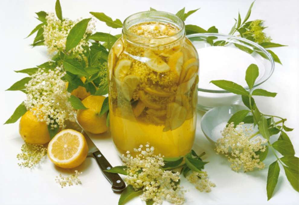 Hollersirup / Holundersirup