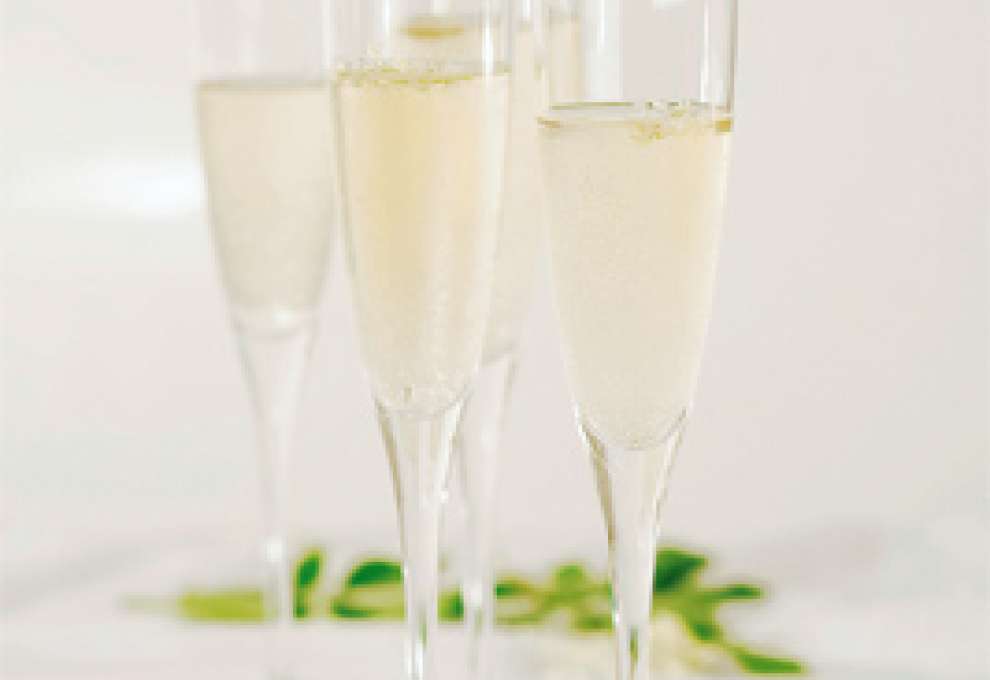 Hollersekt