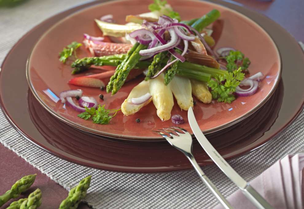 Duett vom Spargel mit Rhabarber und roter Zwiebel