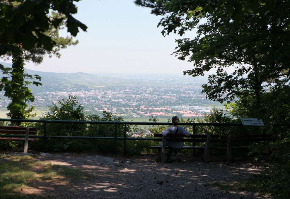 Harzberg Ausblick