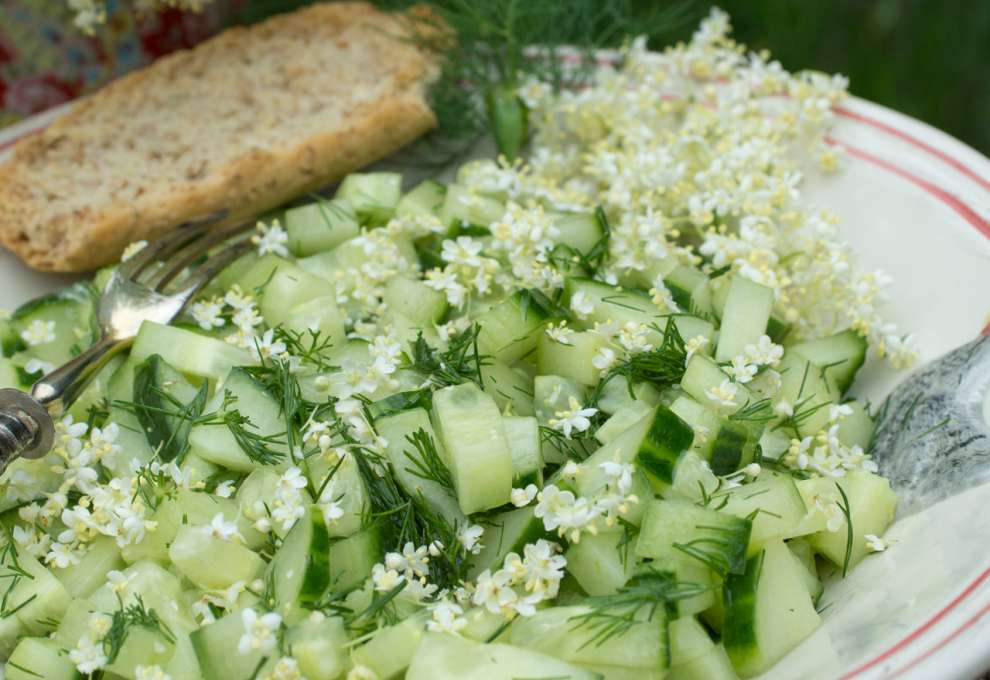 Holunderblüten-Gurkensalat