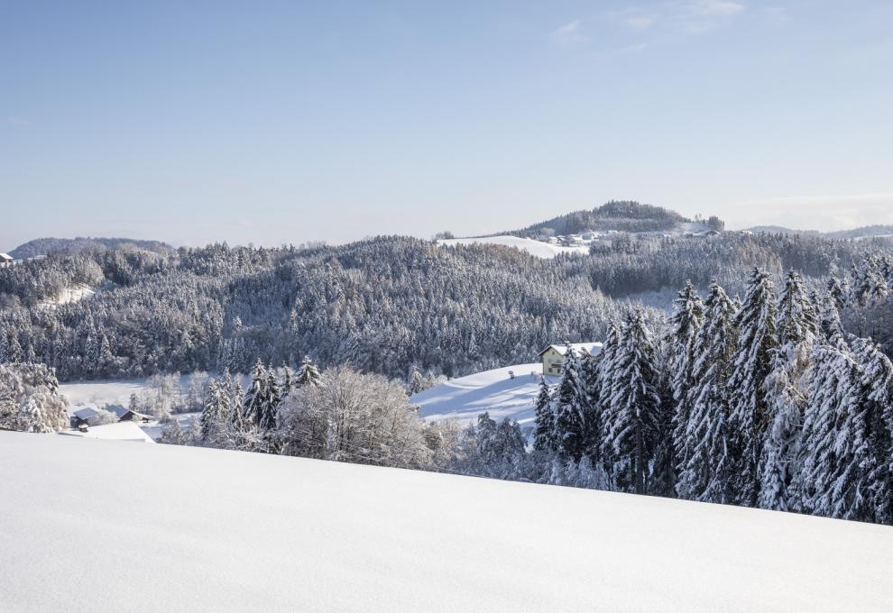 winterliche, hügelige Landschaft