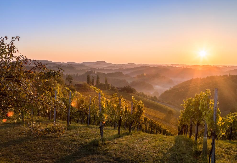 Südsteiermark: Echt. Erlebt. Erzählt.