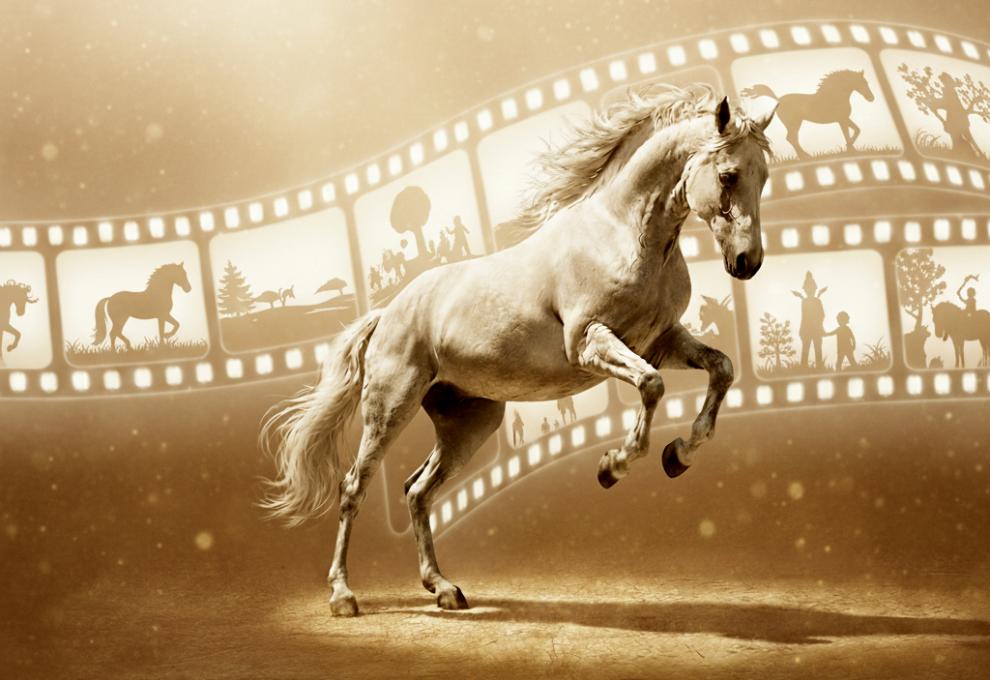 Lipizzania – Horses in Motion
