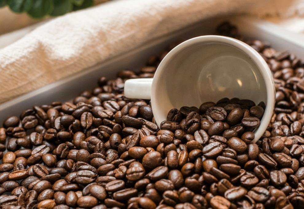 Kaffeetasse in Schüssel mit Kaffeebohnen